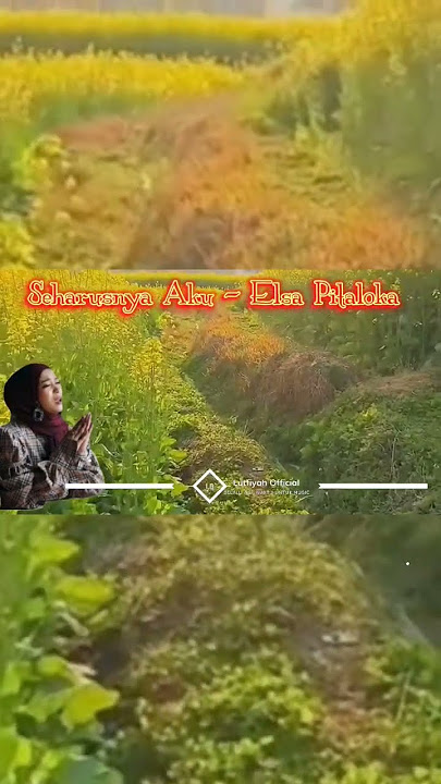 Seharusnya Aku - Elsa Pitaloka