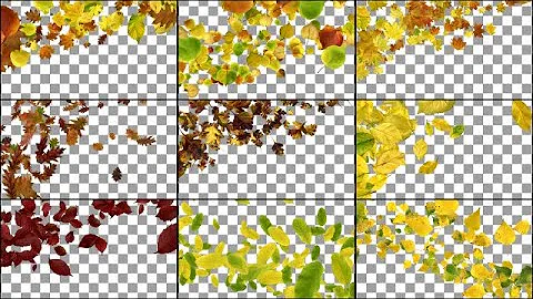 Autumn Leaves Transitions Stock Motion Graphics