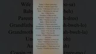 Learn 20 Family Members in Spanish | English to Spanish for Beginners