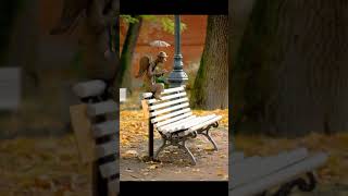 Public Art + Il Direttore (Valzer) By Massimo Budriesi Resimi