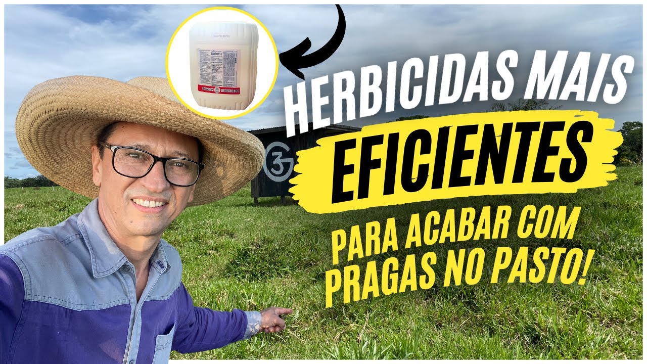 DICAS DE COMO MANTER O PASTO SEMPRE LIMPO E SEM PRAGAS!!!