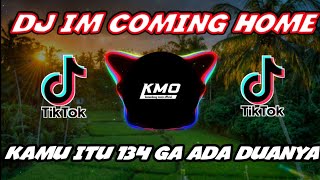 DJ IM COMING HOME 134 GA ADA DUANYA|| DJ TIKTOK VIRAL TERBARU