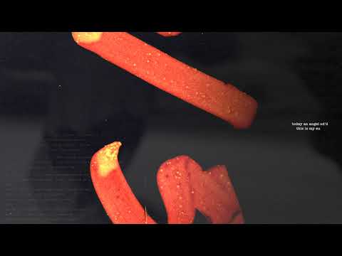 Croosh RIP Official Lyric Video