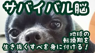 サバイバル脳を身に付けるっ❗