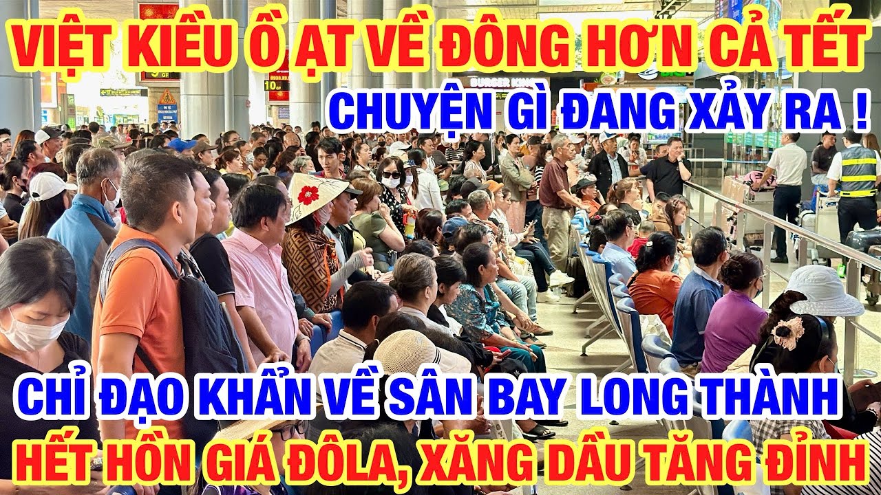 KHÓ TIN VIỆT KIỀU Ồ ẠT ĐÔNG HƠN SAU TẾT I HẾT HỒN GIÁ ĐÔ LA XĂNG DẦU TĂNG CHÓNG MẶT