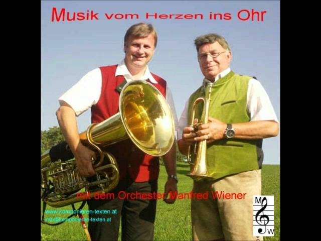 Orchester Manfred Wiener - Auf Wiederseh'n