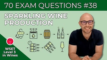 Sparkling Wine Production | 70 WSET Level 3 in Wines Multiple Choice Exam Questions | Video #38