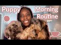 Yorkie Puppy Morning Routine 🐶