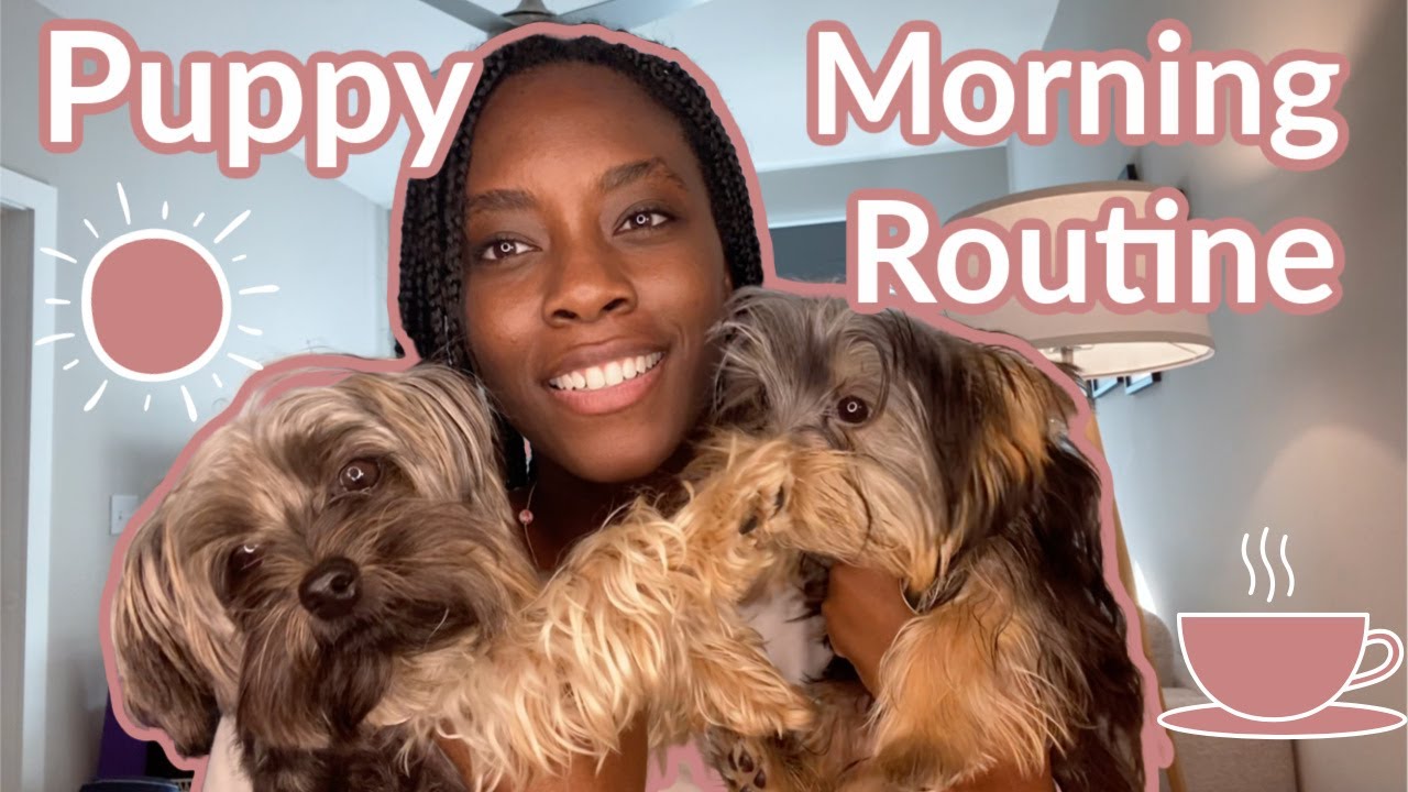 Yorkie Puppy Morning Routine š¶ - YouTube