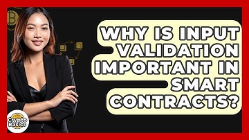 Why Is Input Validation Important In Smart Contracts? - CryptoBasics360.com