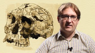 Homo erectus: pierwszy prawdziwy człowiek? | Nasi przodkowie #4