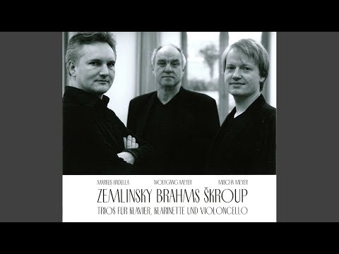 Clarinet Trio in A Minor, Op. 114: III. Andante grazioso