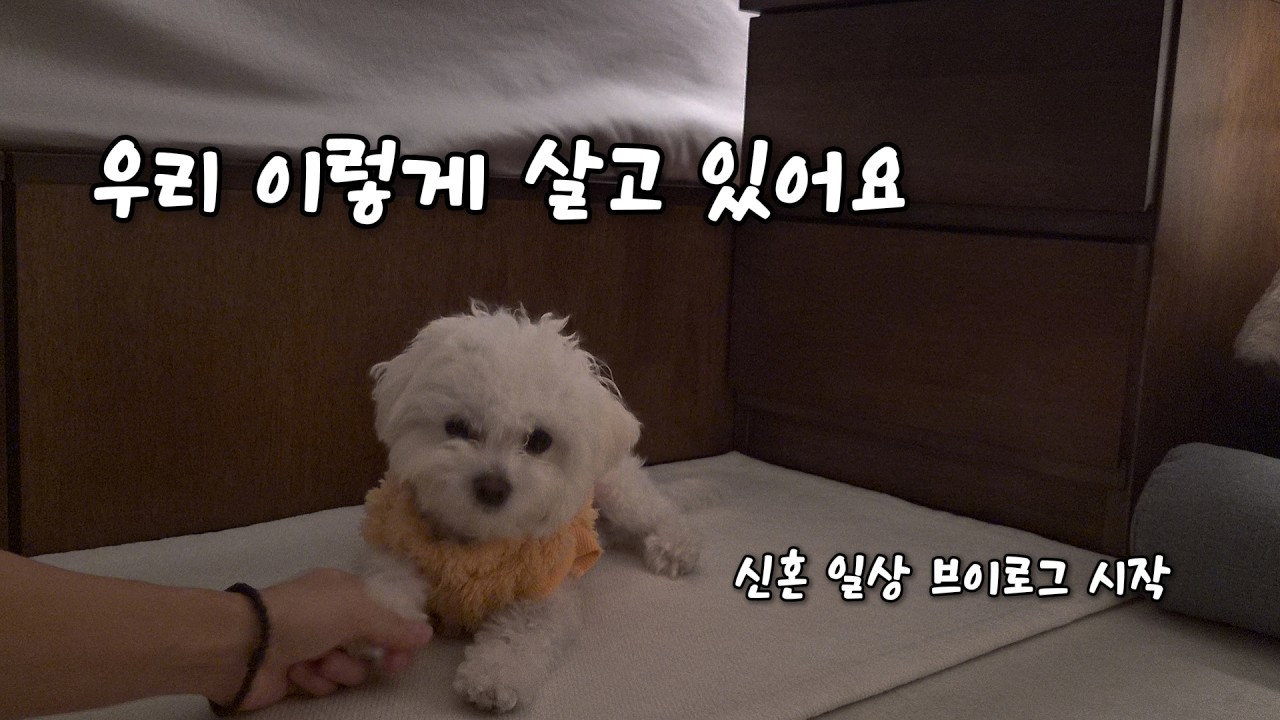 특별한 건 없지만, 우리의 하루｜신혼 집밥부터 외출까지 thisday 첫 브이로그