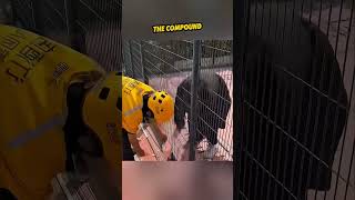 Parcel Problem Solved