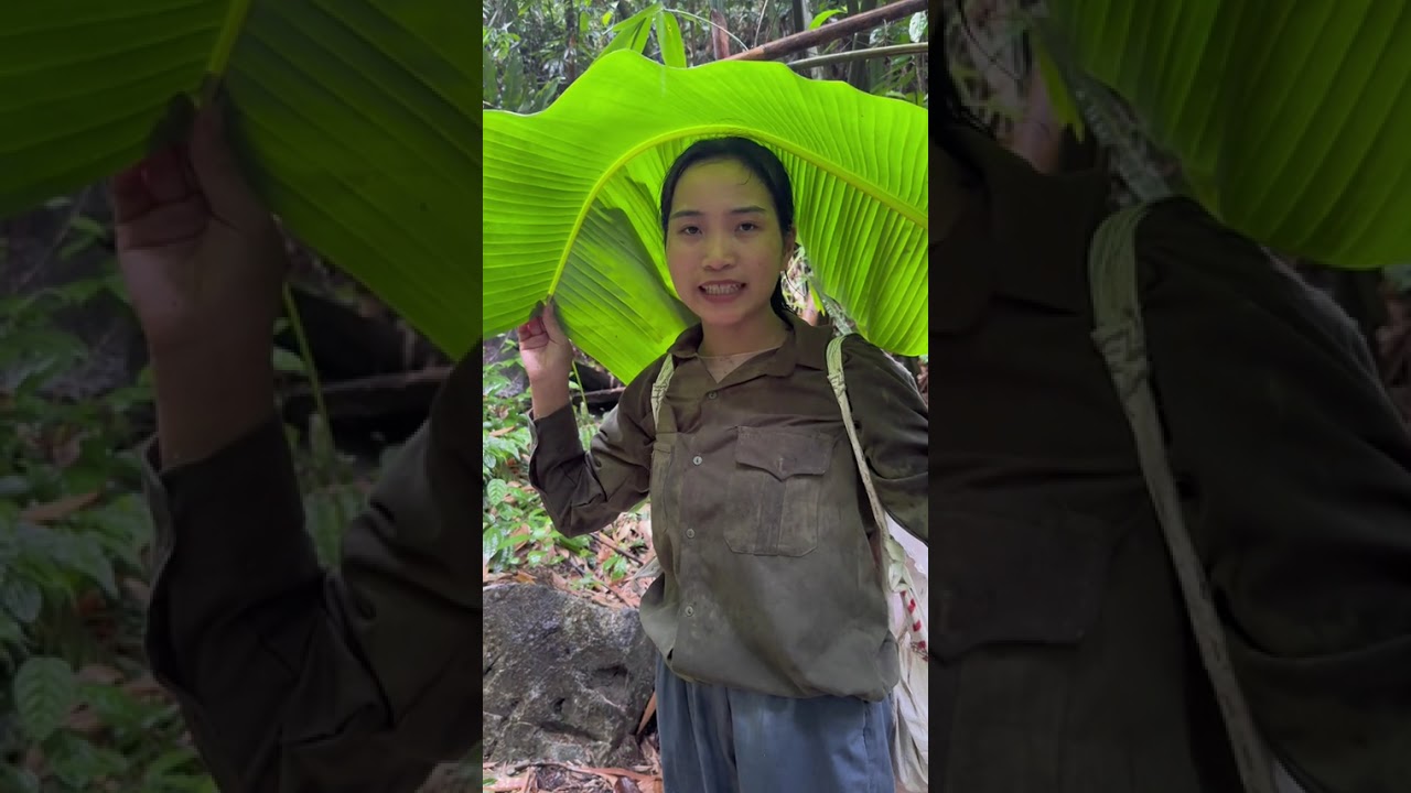 ĐI RỪNG NGÀY MƯA #food #cooking #giadinh #cuocsong #amthuc #giaitri
