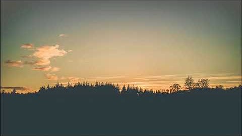 تلاوة هادئة بقمة العذوبة أرح قلبك