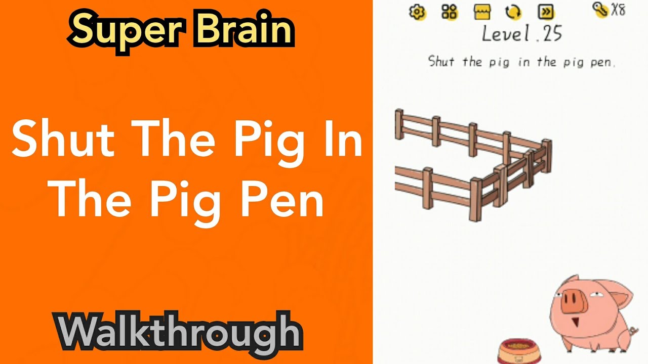 Super Brain - Shut The Pig In The Pig Pen - Level 25