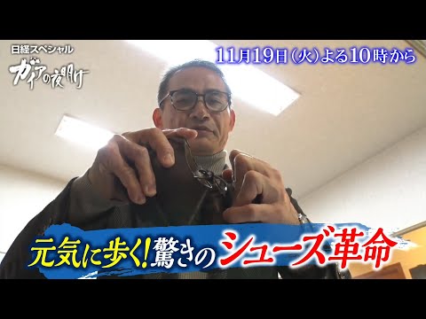 ガイアの夜明け【 元気に歩く!驚きのシューズ革命 】