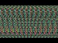 StereoGram Day108　ステレオグラム視力回復108日目　　1分で眼が良くなる映像 平行法　 Let's see what we can find out.