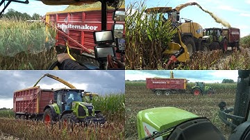 Mais hakselen en meerijden op Claas trekker en New Holland hakselaar met loonbedrijf Loman (2025)