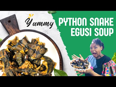 GIANT SNAKE SOUP | DELICIOUS BIG PYTHON