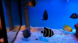IMG 1193