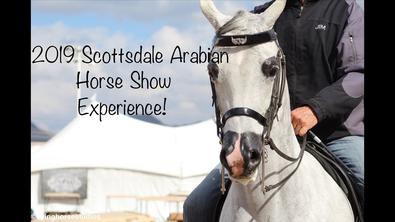 2019 Scottsdale Arabian Horse Show Experience- Flying Horse Studios