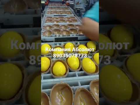 Работа вахтой, объект Шоколадная фабрика