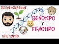 🔬Genotipo y Fenotipo👀 DIFERENCIAS [Fácil y Rápido] | BIOLOGÍA |