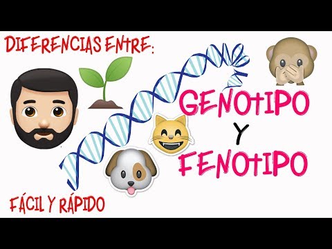 Vídeo: Diferencia Entre Genotipo Y Fenotipo