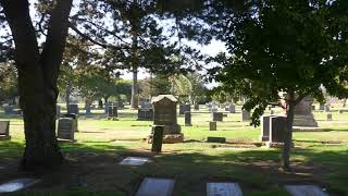 Actor Doug McClure Grave Woodlawn Santa Monica Cemetery Los Angeles California USA October 2020 Actor Doug McClure Grave Woodlawn Santa Monica Cemetery Los Angeles California USA October 2020