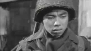 Wartime Pig - "Go For Broke!" War Film