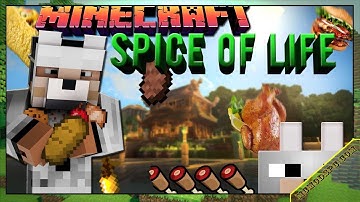 The Spice of Life Mod 1.12.2/1.11.2/1.10.2 & How To Download and Install for Minecraft