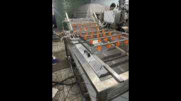 Máy rửa dược liệu, rau củ quả băng chuyên bồn rửa 2m2 tự động