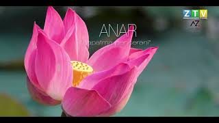 Anar Qapatma Pəncərəni Qiraət Zabir Əliyev Zabi̇rbaycan