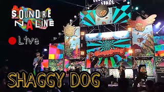 Shaggy Dog Live at Soundrenaline 2019