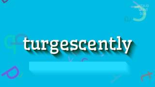 Turgescently - How To Pronounce Turgescently?