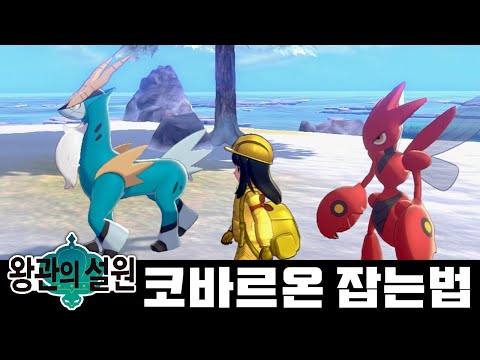 왕관의 <strong>설원에서</strong> 코바르온 잡는 법 공략! [포켓몬스터 소드 실드 왕관의 설원]