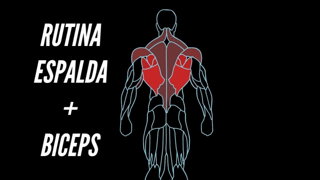 Los Mejores ejercicios para espalda. Mi Rutina de espalda y Biceps ...