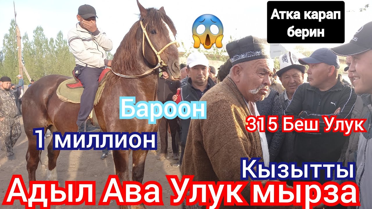 Укмуш Кызыды 300 Адыл ава алды Ноокат Жылкы базар 17 апреля 2022 г.