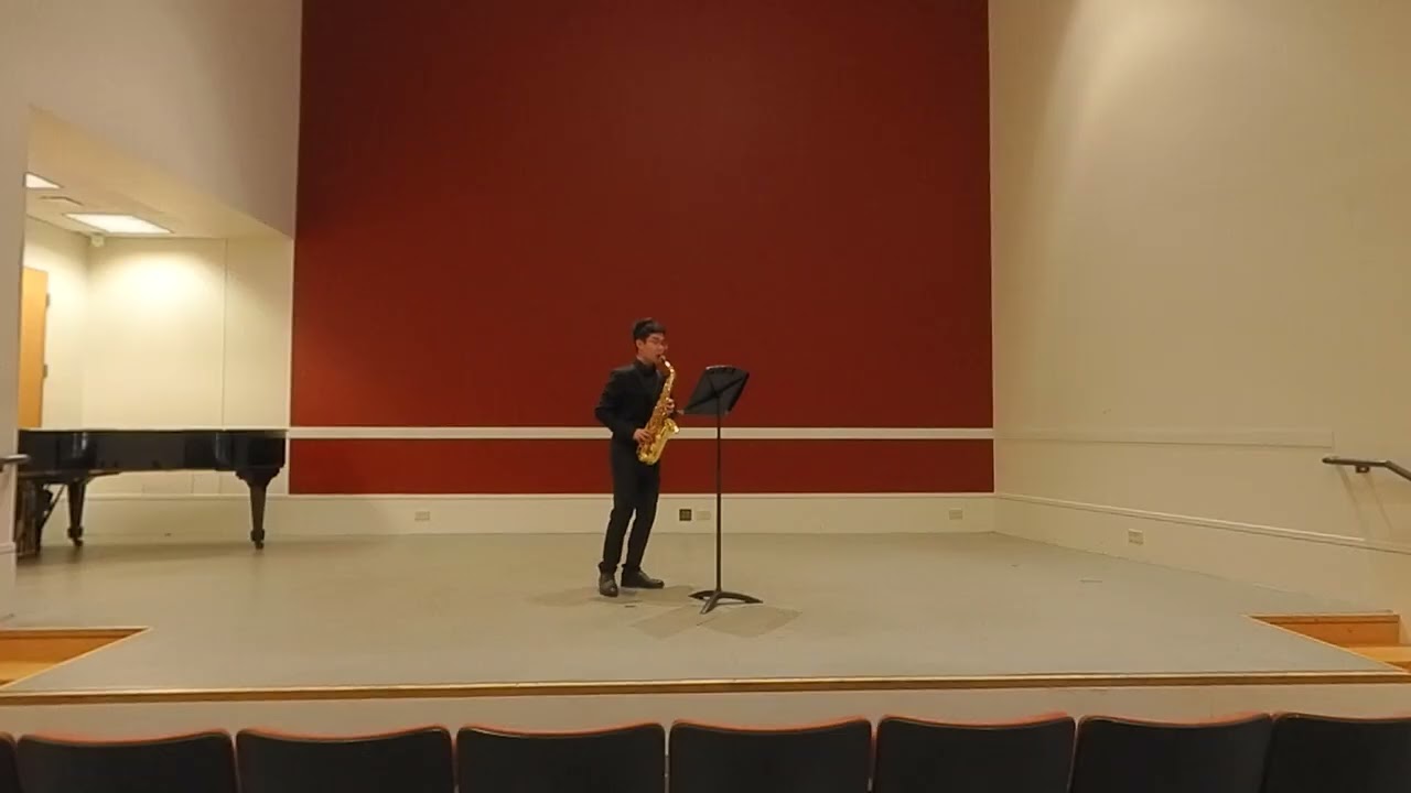 Pulse-- Vincent David