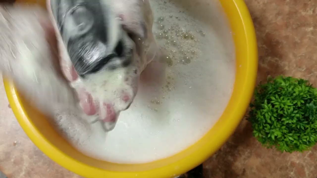 Ароматное мыление.