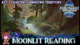 GW2 Moonlit Reading achievement (Chapter 1 Unknown Territory)