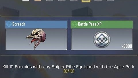 Kill 10 enemies with any sniper rifle equipped with the Agile perk