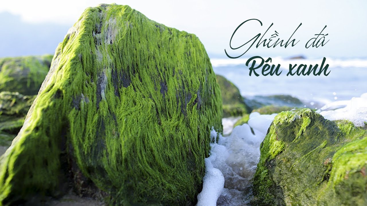 Chen chân chụp ảnh ở ghềnh đá phủ rêu xanh tuyệt đẹp Đà Nẵng