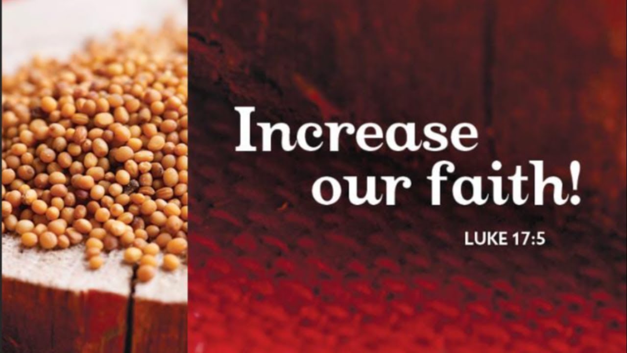 APLC Live-Stream Service for Oct 5, 2025