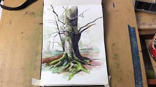 How To Paint A Tree In Watercolour