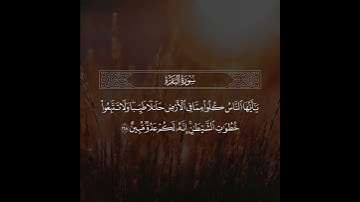 ﴿ولا تتبعوا خطوات الشيطان﴾ تلاوة قصيرة | القارئ عبدالله الموسى