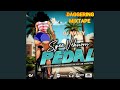 DANCEHALL MIXTAPE CLEAN 2024 {PEDAL},SGEE VHENOM,ARMANII,VALIANT,RAJAH WILD INTENCE [DJ WAVEY]