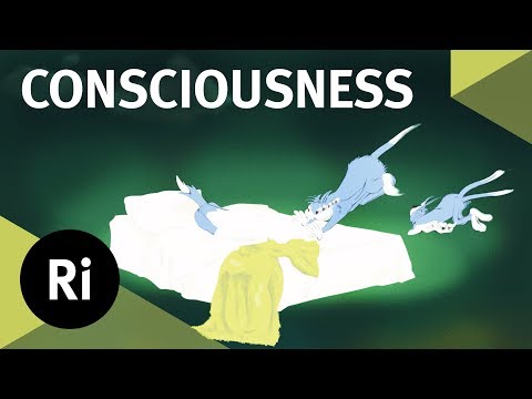 What is Consciousness?